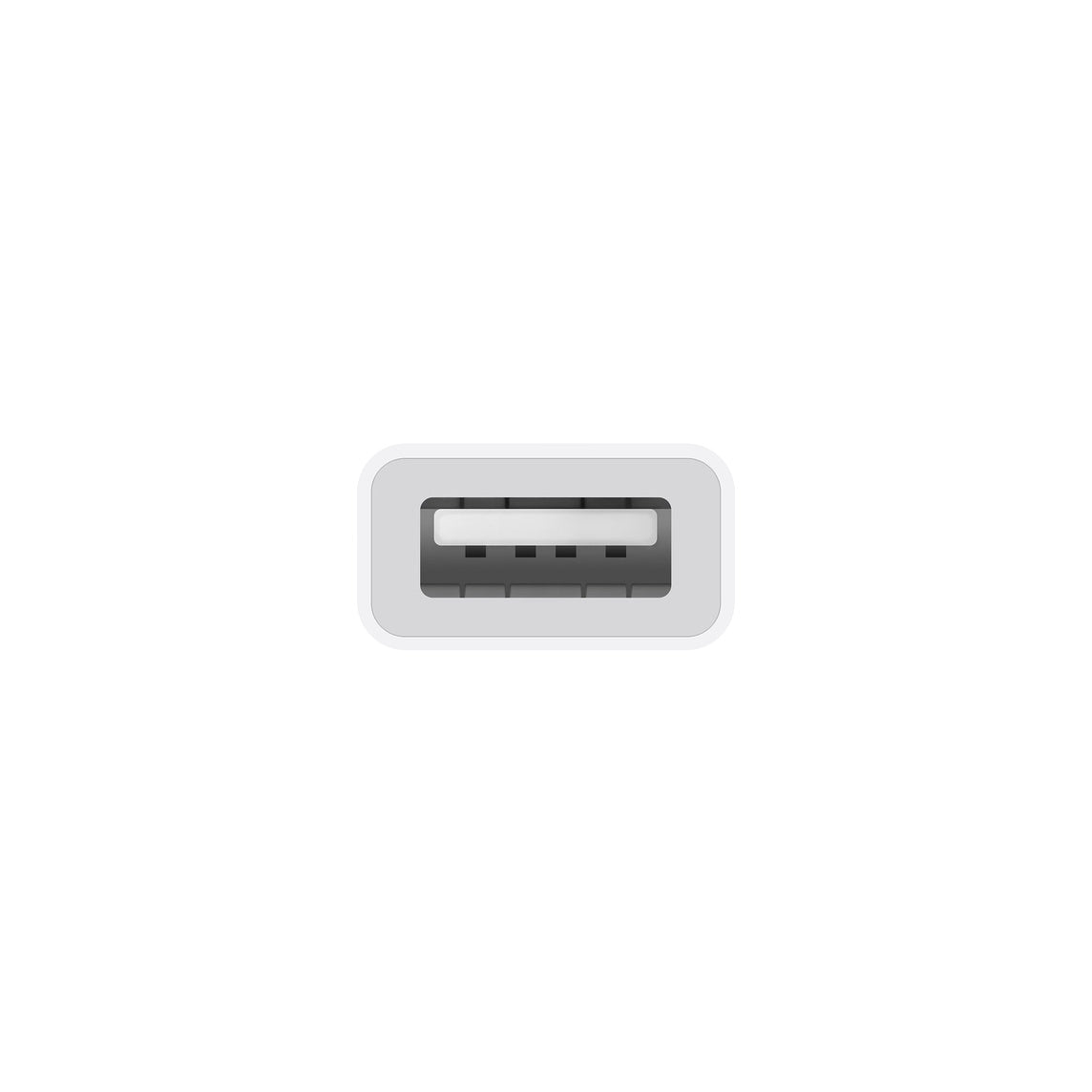 Adaptador Apple de USB-C a USB