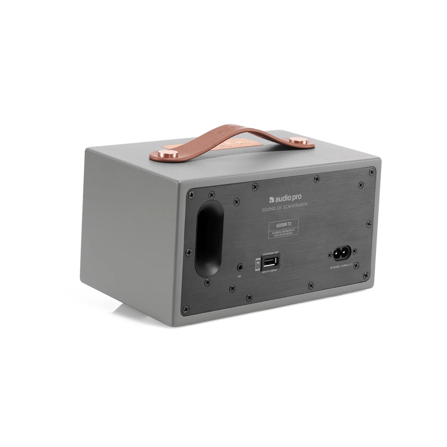 Parlante Audio Pro T3+