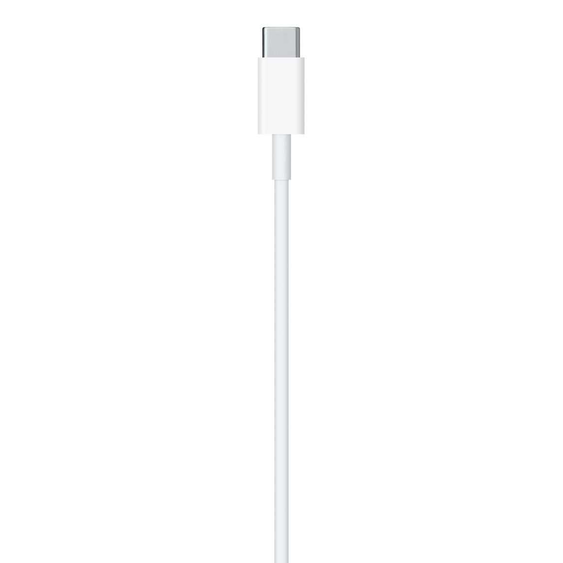 Cable Apple de USB-C a Conector Lightning 1M