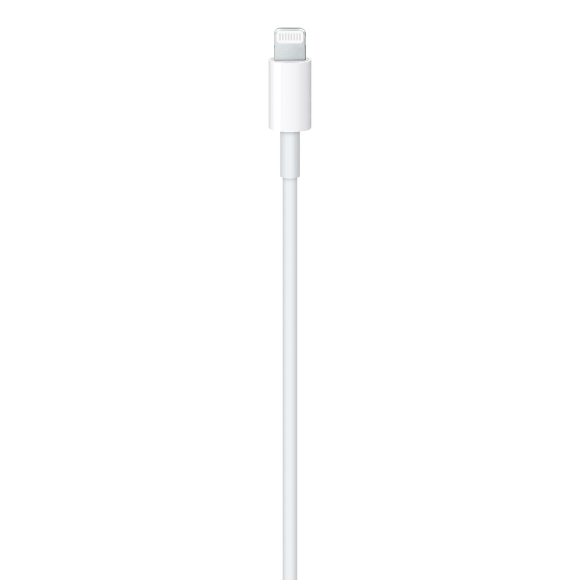 Cable Apple de USB-C a Conector Lightning 1M